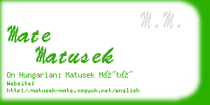 mate matusek business card